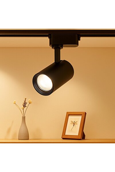 YCL Yrs-3000g 30w Led Ray Spot Siyah Kasa G.ışığı