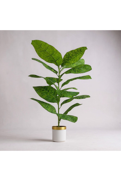 ERHAN FLOWERS Yapay Çiçek Difenbahya Tropik 23 Yapraklı 85 Cm Salon Çiçeği Be...