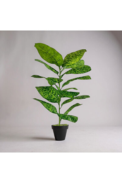 ERHAN FLOWERS Yapay Çiçek Difenbahya Tropik 23 Yapraklı 85 Cm Salon Çiçeği si...