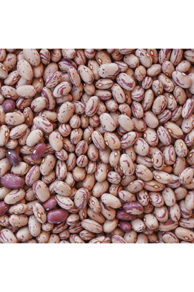 Karadeniz OFSÜT Yöresel Barbunya