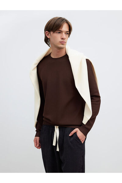 LC Waikiki Brown Crew Neck Men's Knitwear Sweater