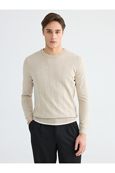 LC Waikiki Beige standard fit textured men's knit sweater