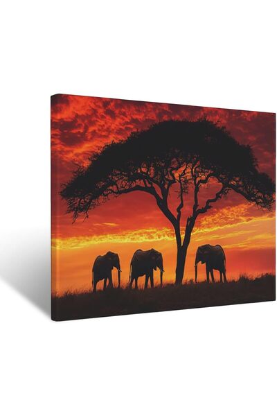 ALAYRA International Large Graffiti Canvas Wall Art 60x80cm Colorful Street A...