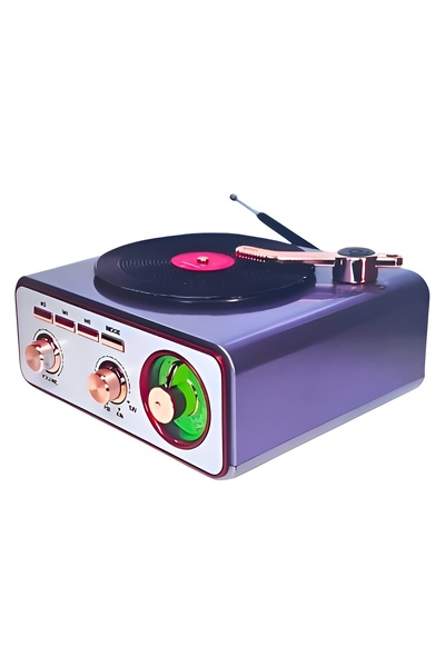 Meier MD-1217BT Classic Radio with Photographic-Shaped Speaker and Rechargeable Battery