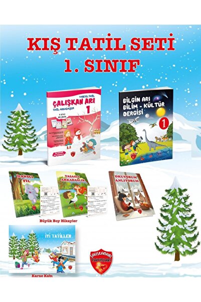 Çalışkan Arı Yayınları Çalışkan Arı 1. Sınıf Kış Tatil Seti -