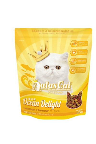 Aatas Cat طعام جاف اتاس بنكهة السلمون اوشن ديلات 1.2كغ