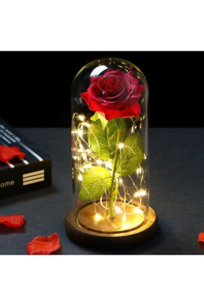 OEM Immortal rose, in glass dome, with LED lights, brown wooden base, 22cm x ...