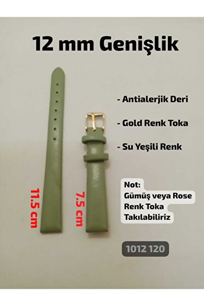 Brality 12 mm Compatible Women's Wristwatch Band-Strap Flat Model Water Green...