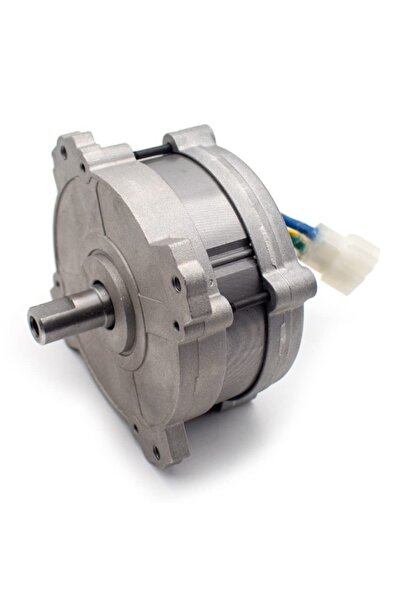 Hasyılmaz W5217GCg-a Neodimyum Yüksek Tork Brushless Motor 36V