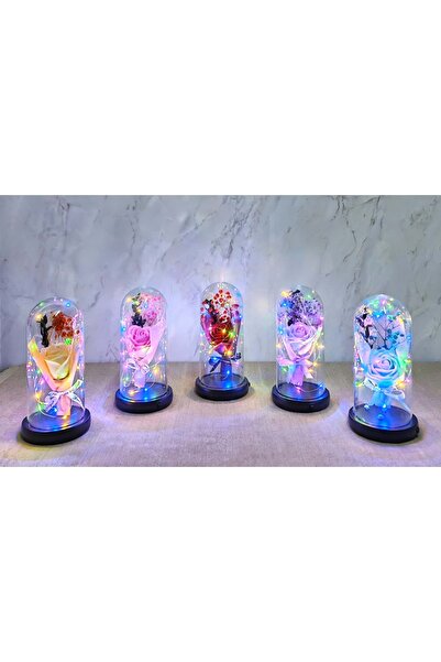 Store Işıklı Müzikli Cam Fanus İçinde Gül 21x11 cm | Romantik Masa Üstü Dekor...