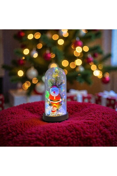 Kuzey Tacı زجاجة زجاجية مضيئة بمصابيح LED متوسطة الحجم لشخصيات عيد الميلاد - ...