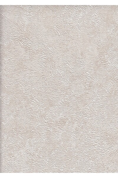 vertu Modern Dekoratif Sıva Görünümlü Silinebilir Duvar Kağıdı