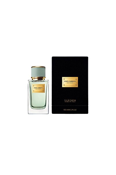 Dolce&Gabbana Velvet Infusion - Eau De Parfum 100 ml