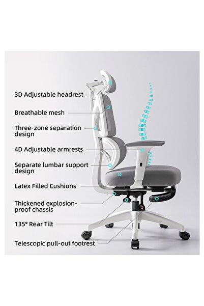 iron candy Ergonomic Office Chair High Back Mesh w/Footrest & Lumbar Support ...