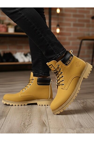 Calsido Bot Kar Botu