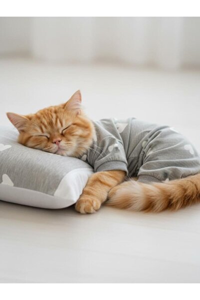 Kemique مجموعة نوم القطط سوفت هارتس |   طقم بذلة قطيفة للقطط مع وسادة صغيرة |...