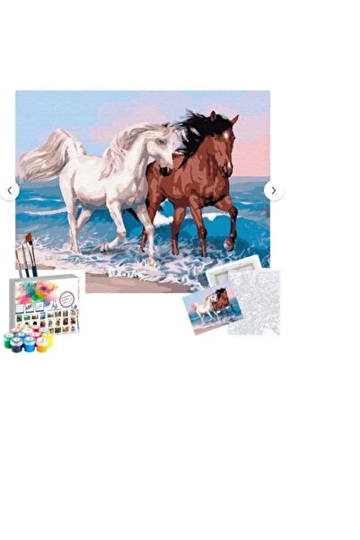 Genel Markalar Sayılarla Boyama 40x50 Cm N03 Atlar