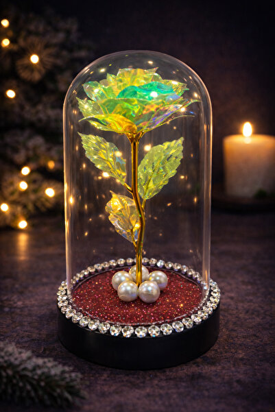 Bioren İnci Taşlı Süslemeli Sonsuzluk Güllü Işıklı Hediyelik Fanus - Özel Gün...