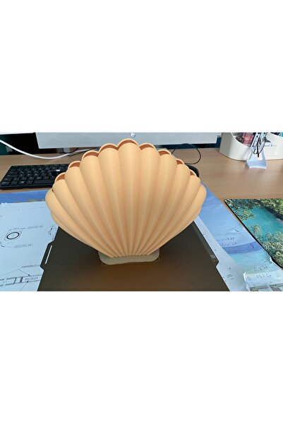 Della Sea Media Designed Decorative Vase |   Handmade |   Corn Starch Based B...