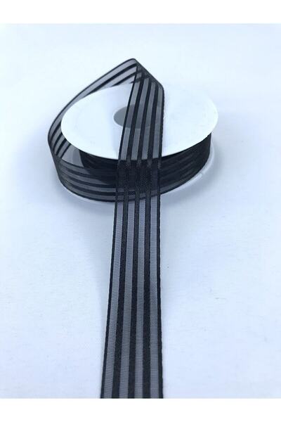 Massaltay شريط هيلتون 2 متر - شريط أورجانزا مخطط - إكسسوار لتزيين حفلات الزفا...