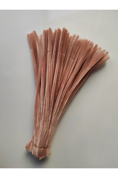 hyc heryerçiçeklenir 100 Pieces of Champagne Color Chenille, Feathered Wire S...