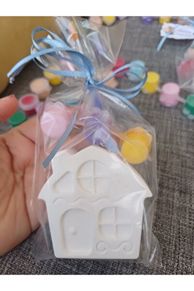 Opulent Accessories ev xl Taş boyama seti 10adet,okulöncesi hediyelik,mezuniy...