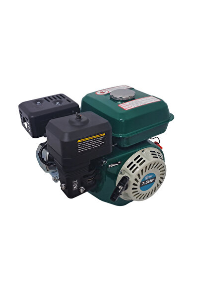 DDT Motor profesional pe benzină 7,5 CP, 4 timpi, 200 cmc