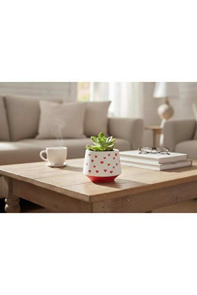 rilind El Yapımı Taş Tozu Sukulent & Kaktüs Saksısı – Kalp Desenli Dekoratif ...