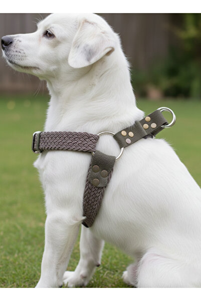 balkonda طوق للكلاب من السلالات الصغيرة والمتوسطة مع حبل شبكي قابل للتعديل وجلد نوبوك المنك