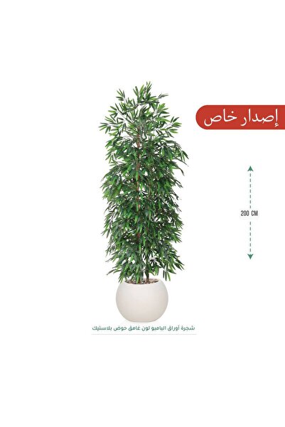 CENTRHOME A 200-meter-tall bamboo tree in the center of Makour