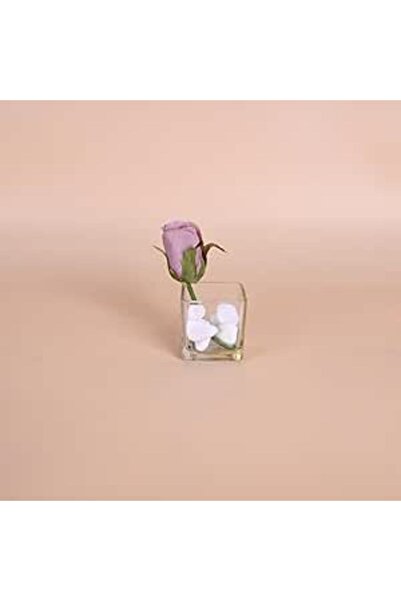 Generic مزهرية زجاجية مربعة صغيرة