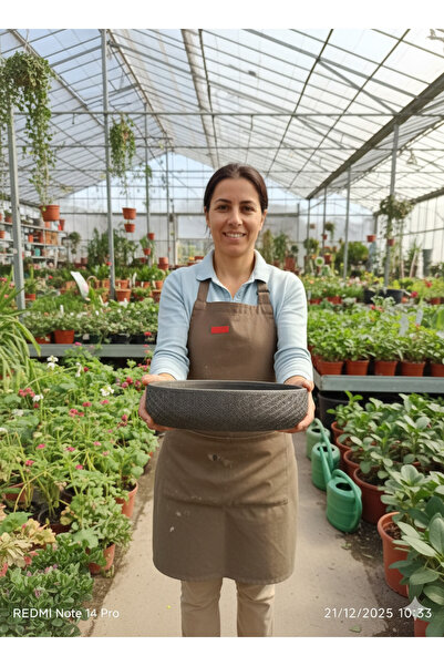 bitkidünyam Hanımeli Taş Saksı 25*8 cm yaklaşık
