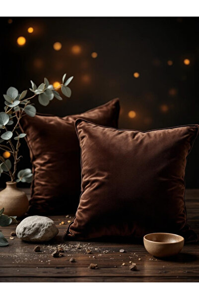 FARCY 2-Piece Square Soft Textured Velvet Fabric Throw Pillow Cover (2 Pieces)