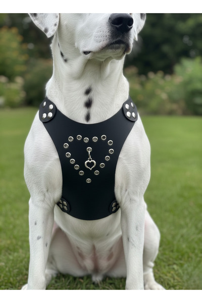 balkonda Köpek Göğüs Tasması Sırttan Çekmeli Orta ve Büyük Irk Ayarlanabilir ...