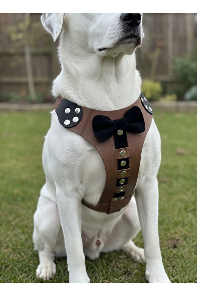 balkonda Dog Harness Back Pull Adjustable Medium Breed Genuine Leather Mink &...