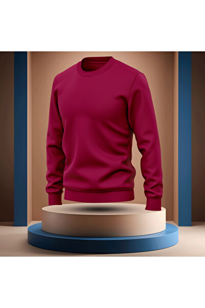 Bulvar Lee Crew Neck Plain Stretch Fabric Men's Sweatshirt