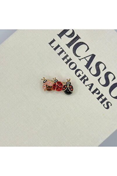 BULUT SEPETİ 3 lü uğur böceği broş