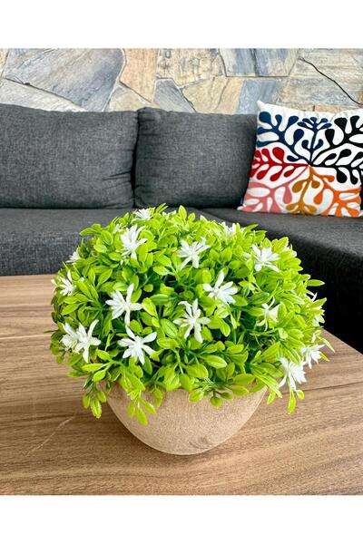 FB Cup نبات زهور اصطناعية فاخرة بيضاء اللون لتزيين المنزل والمكتب 🌿