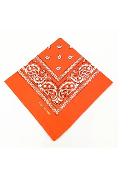 Choice 15 Hip Hop Bandana 23 Styles Man Women Fashion Outdoor Headbands Hair ...