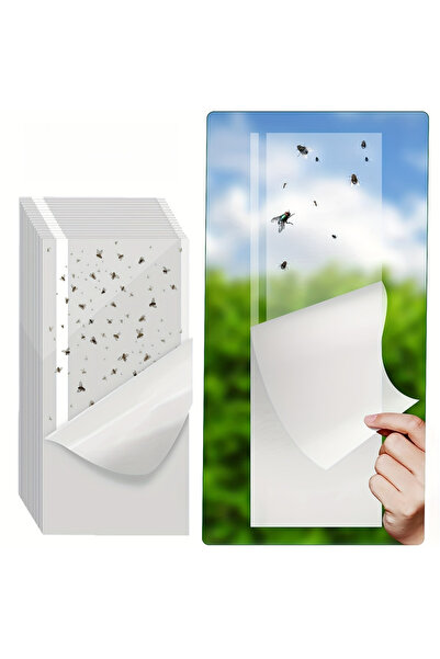 Choice 10pcs 10pcs, Window Fly Traps, Ready To Use Indoors Clear. Insect, Bugs, Fly & Fruit Fly Glue Adhesi
