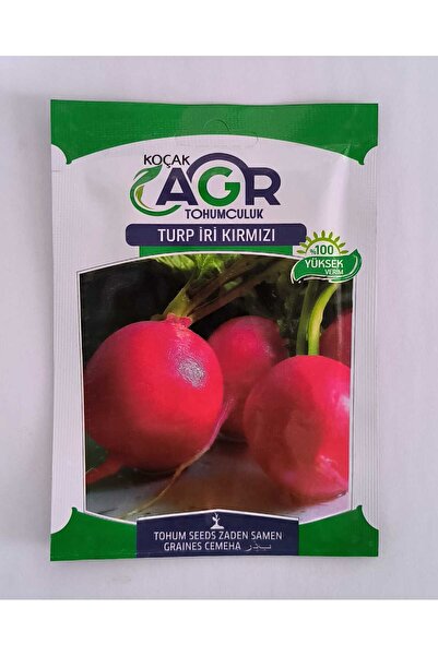 Öztürk Fide KIRMIZI İRİ TURP