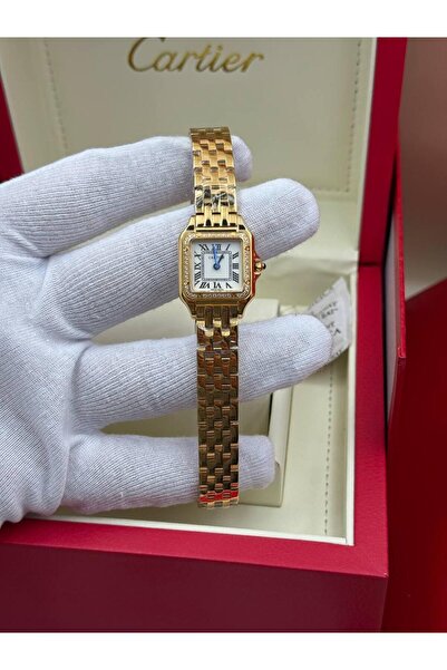 Adieu Silver Taşlı Gold Mini Saat