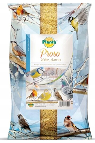 Other Hrană pentru păsări de iarnă Mei 1 kg