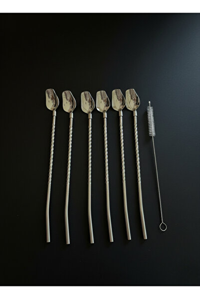 Elista 6-Piece Stainless Chrome Latte Spoon with Straw, Cocktail Spoon and Cleaning Brush, 22 cm Lale