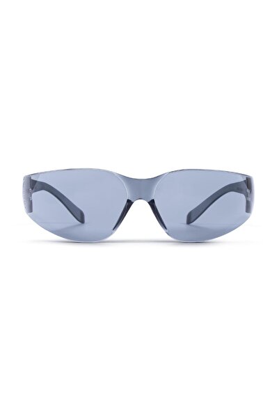 Other ZEKLER 30 HC/AF safety glasses gray