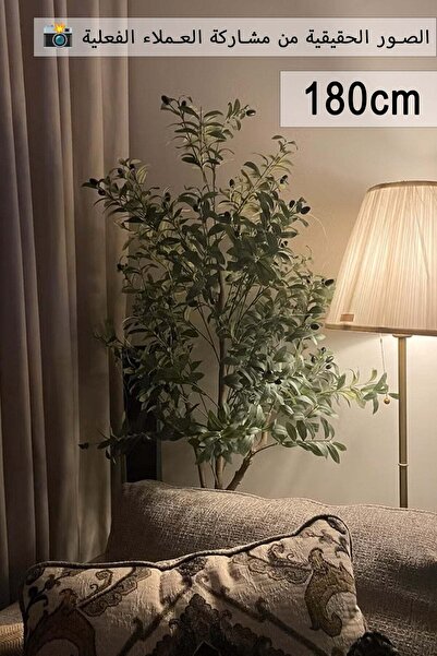 Arabest شجرة زيتون اصطناعية بطول 180 سم مزودة بشريط إضاءة بطول 10 أمتار