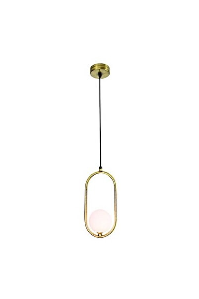trandafi led Modern Decorative Pendant Lamp