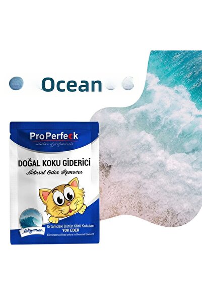 CT STONES عطر برو بيرفيكت أوشن المعطر 25 جرام