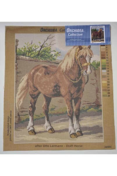 Orchidea Гоблен 3420M 40x50