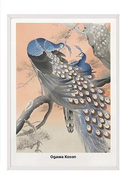 Postifull Tablou cu rama albă, pictură de perete, Ohara Koson - Two Peacocks ...